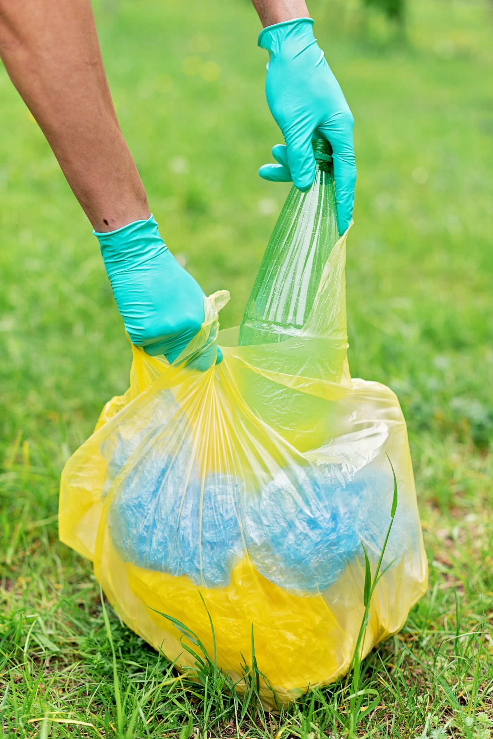 ¿Quieres reciclar? Conoce sus beneficios